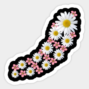 daisy flower, blooming daisies, pink blooms, blossoms Sticker